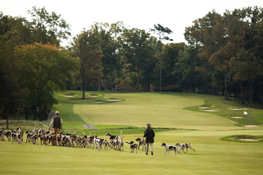 Hounds on the grounds of Keswick Hall at Monticello