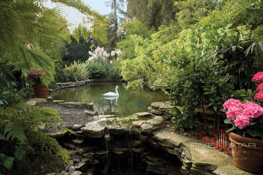 Glimpse Swan Lake at Hotel Bel-Air, Los Angeles, CA