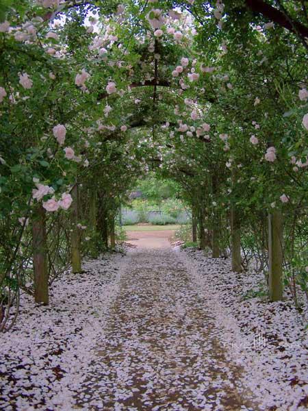 Barnsley Gardens Resort