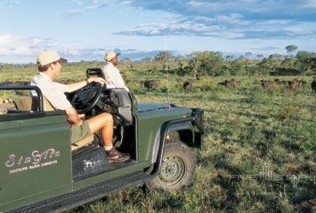 Jeep Safari