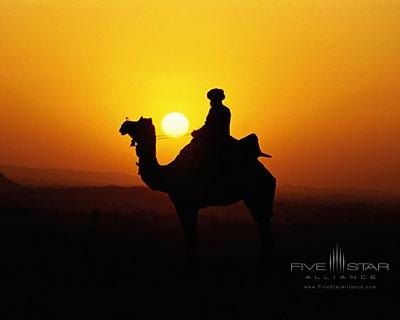 Sunset Camel Ride