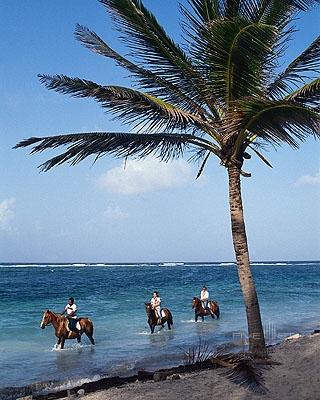 Horseback Riding in the Water