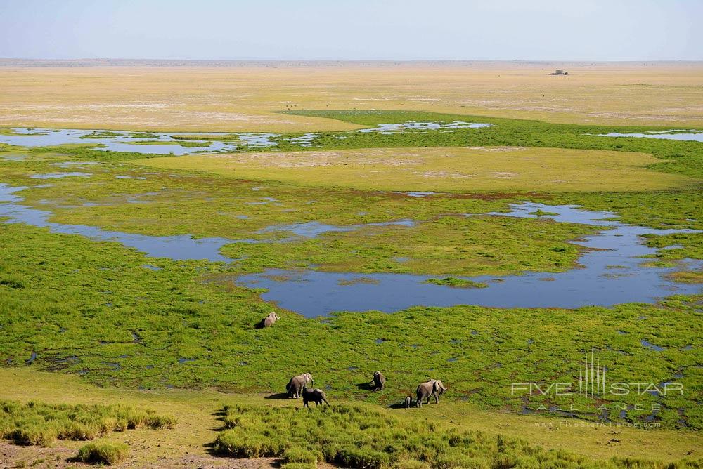 View of the marsh from Observation Hill at Amboseli Serena Safari Lodge, Amboseli, Kenya