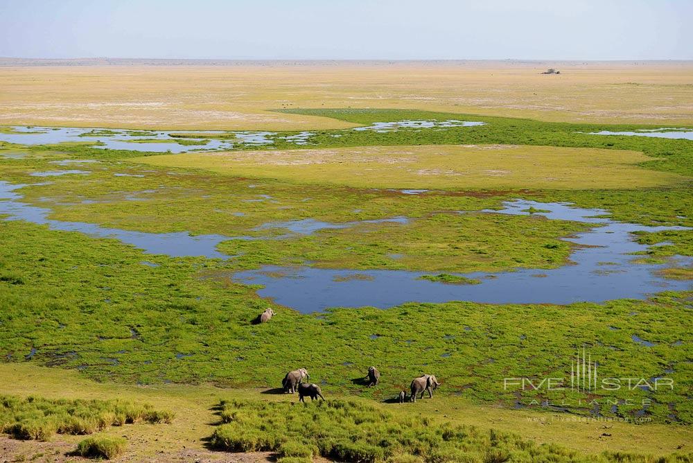 View of the marsh from Observation Hill at Amboseli Serena Safari Lodge, Amboseli, Kenya