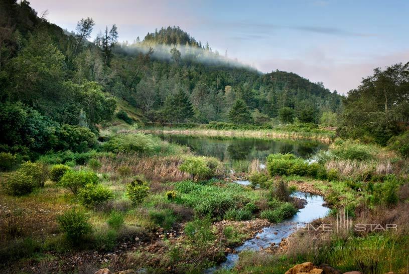 Resort Grounds at The Calistoga Ranch