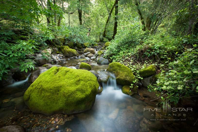 Resort Stream at The Calistoga Ranch