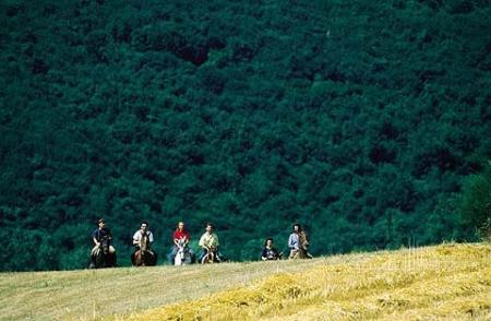 Horseback Riding