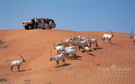 Al Maha Desert Resort And Spa