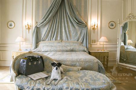 Hotel Le Meurice