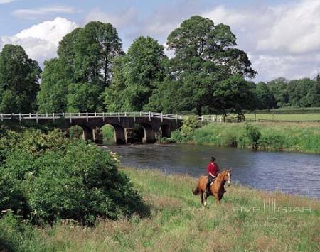 White Bridge with Horse on Trail Ride