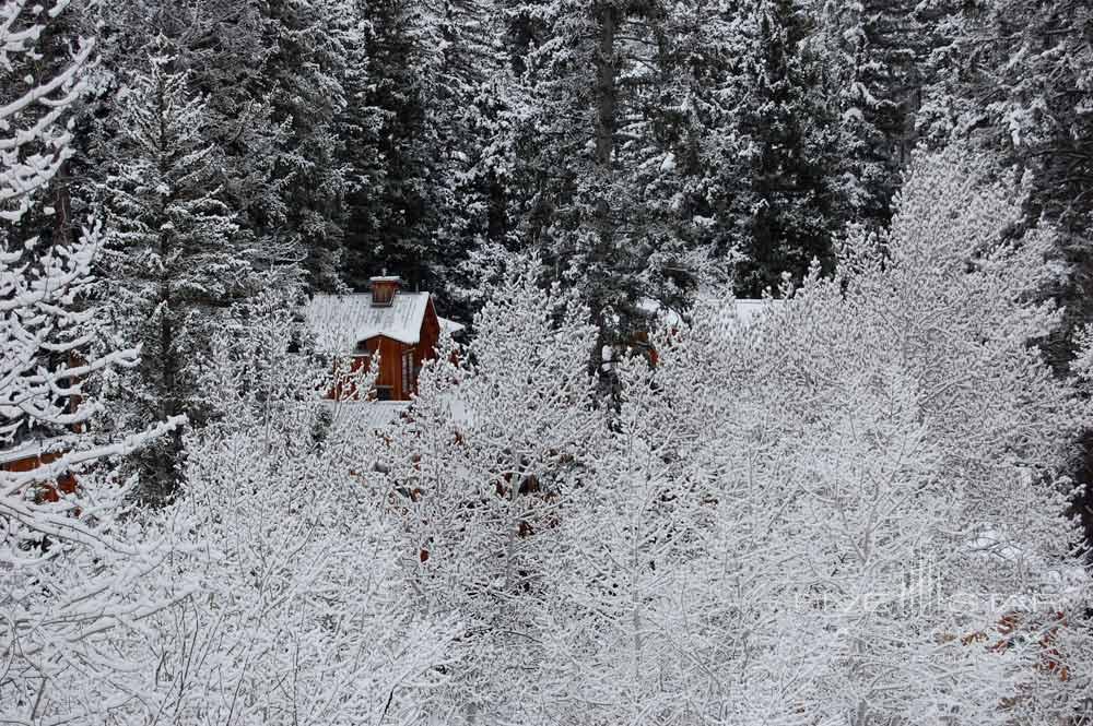 Cabin exterior at Sundance Resort, Utah