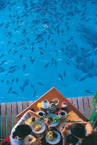 Outside Hotel Dining