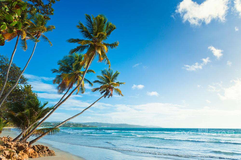 Beach at The Magdalena Grand Beach Resort Lowlands, Tobago