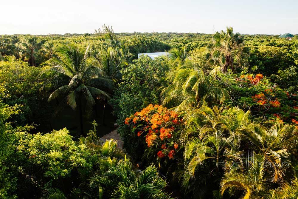 Gardens at EsenciaPlaya del Carmen, Quinta Roo, Mexico