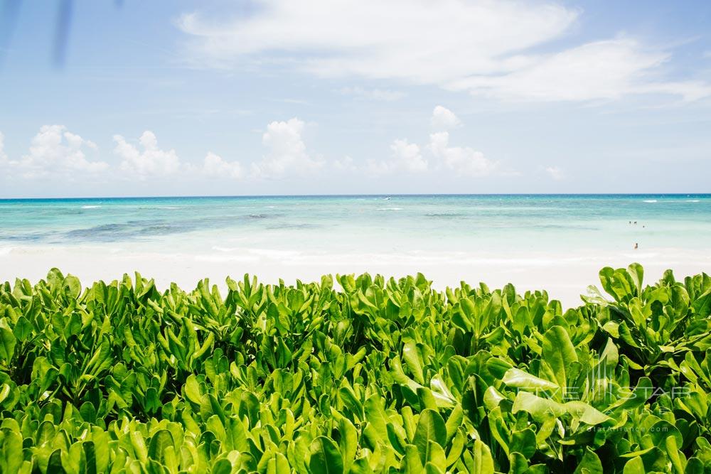 EsenciaPlaya del Carmen, Quinta Roo, Mexico