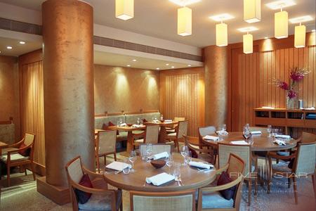 The Halkin London