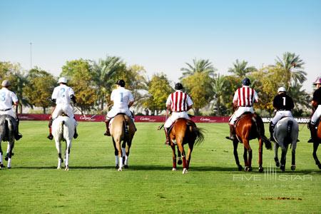 Desert Palm Retreat Dubai