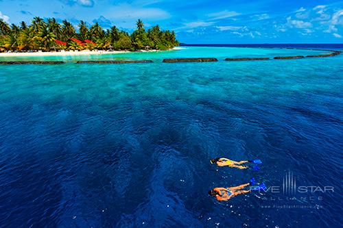Kurumba Hotel Maldives Snorkeling