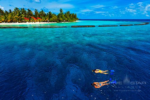 Kurumba Hotel Maldives Snorkeling