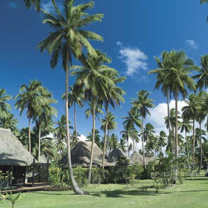 Jean-Michel Cousteau Fiji Islands Resort