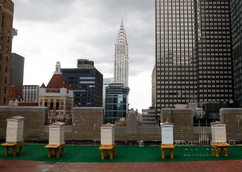 The Waldorf-Astoria New York Bee Hives on the 20th Floor Terrace