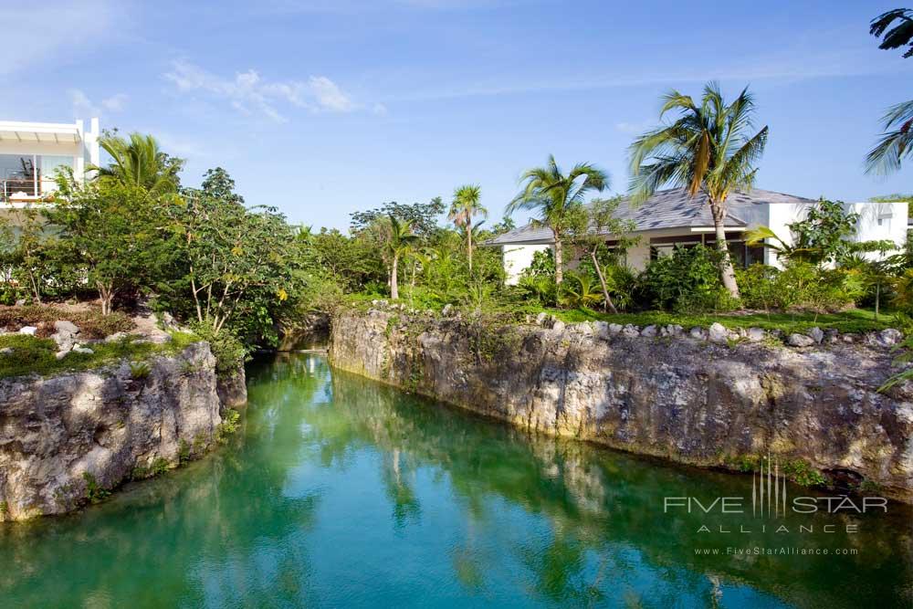 Cenote River