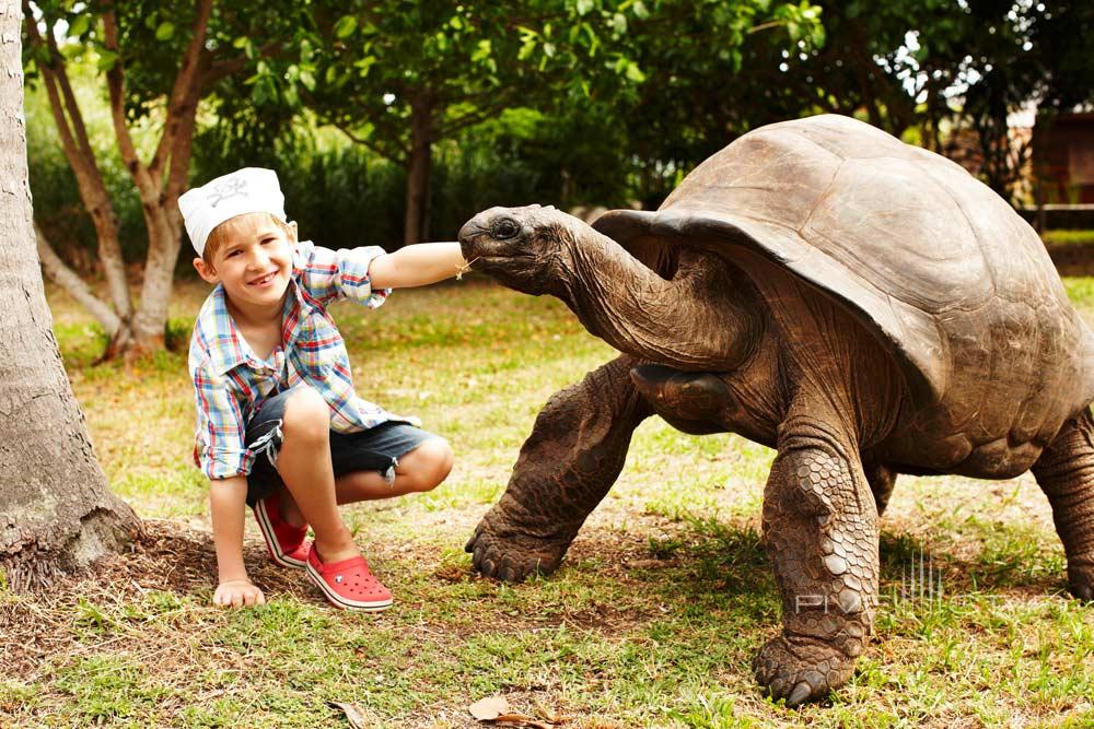 Activities at Fregate Island Private Seychelles, Fregate Island, Seychelles