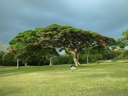 Shangri-Las Fijian Resort and Spa