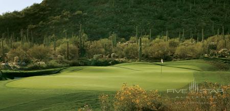 The Ritz-Carlton Dove Mountain