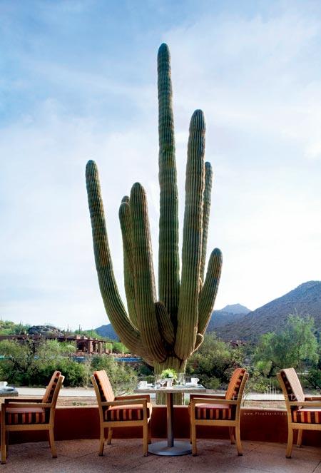 The Ritz-Carlton Dove Mountain