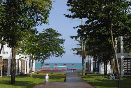 The Library Koh Samui