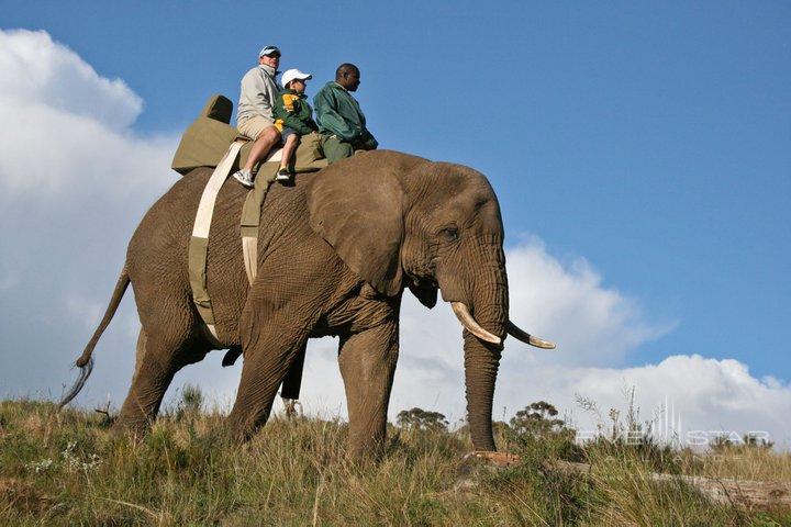 Fancourt Elephant Tour