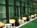 The Glasshouse