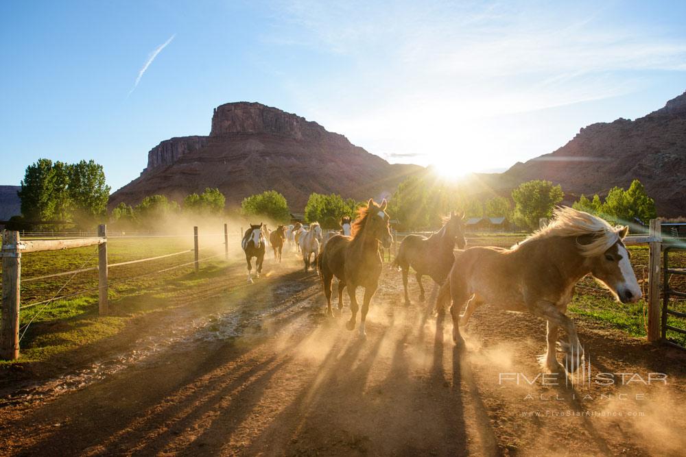 Enjoy Horseback Ridingthis activity is offered in an array of different styles and levels to meet each guests preferences. Sorrel River Ranch Resort and Spa, Moab, UT
