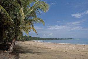 Le Cameleon Puerto Viejo