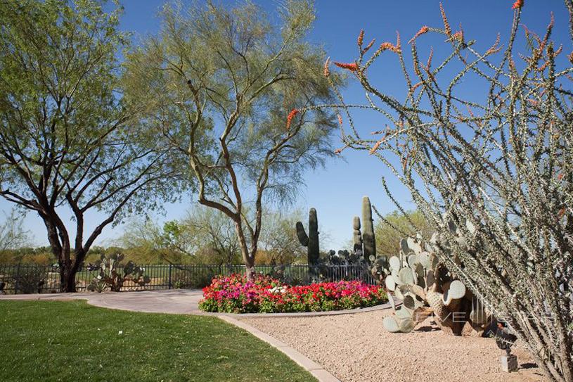 Marriott Scottsdale Mcdowell Mountain