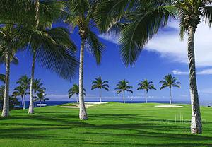 Marriott Waikoloa Beach Resort Spa