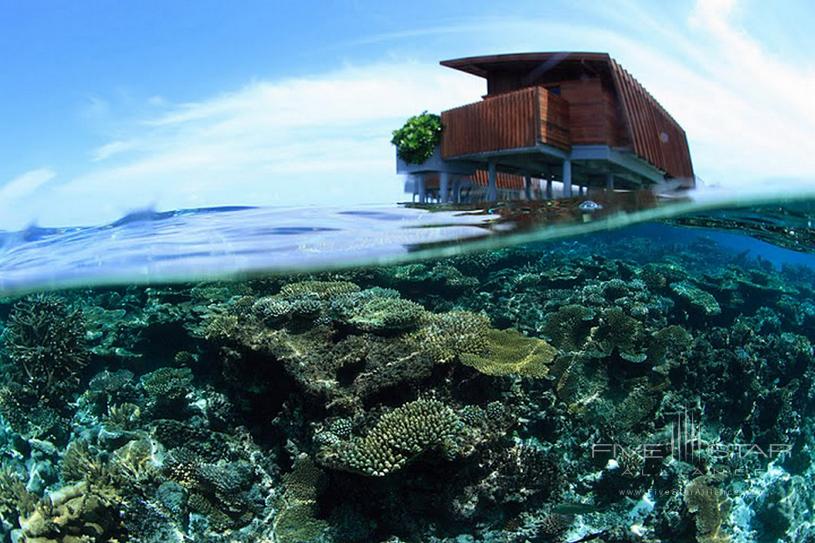 Park Hyatt Maldives Hadahaa Underwater Corals Around Park Water Villas