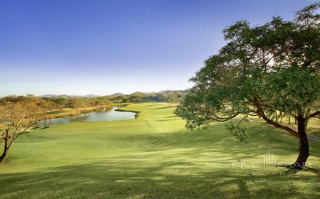 The Westin Resort and Spa Playa Conchal