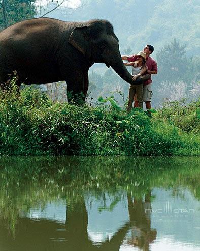 Four Seasons Tented Camp Golden Triangle