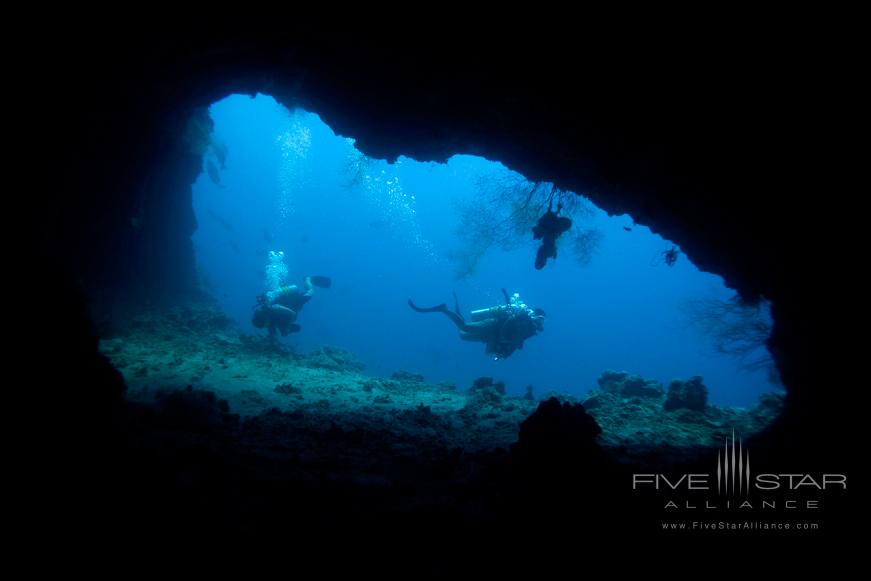 Dive the House Reef Cave at Dusit Thani Maldives