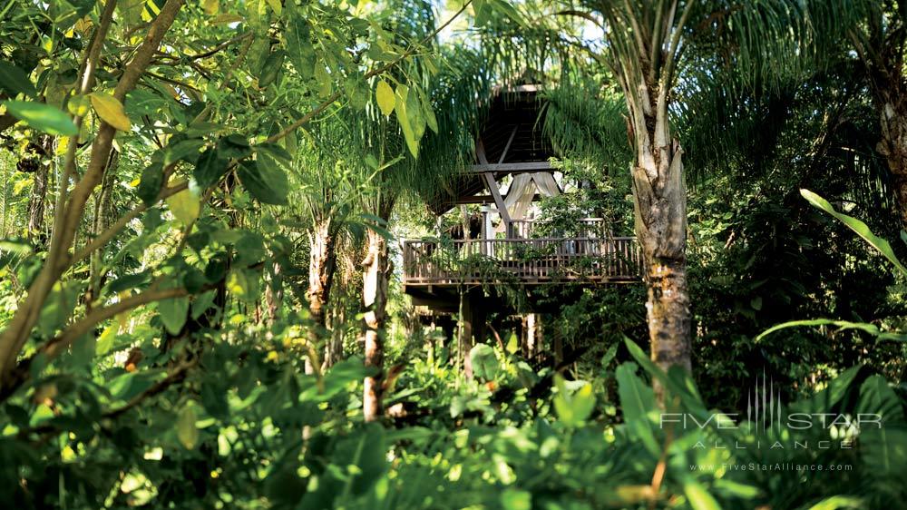 Tree House Pavilions Offering Private massages, Dorado Beach, Puerto Rico