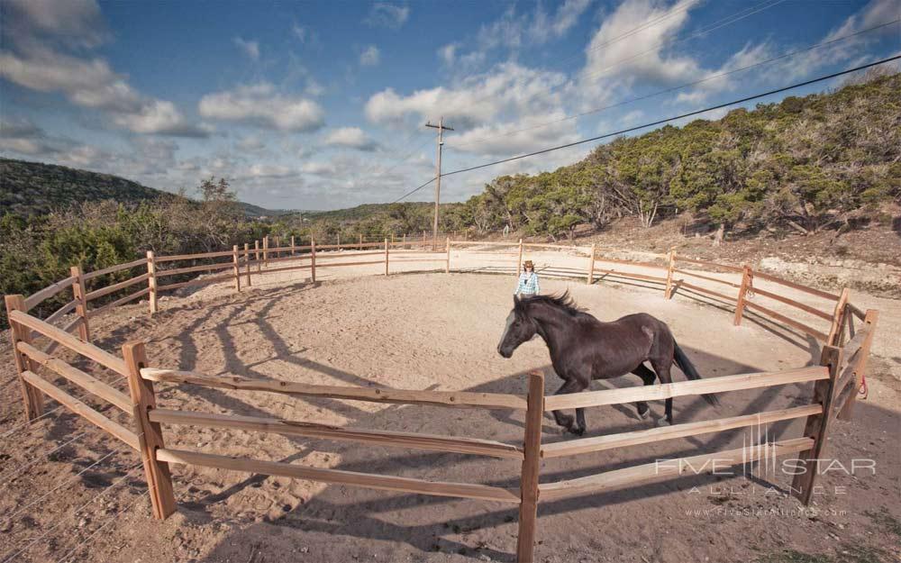 Equine Experience at Travaasa Austin