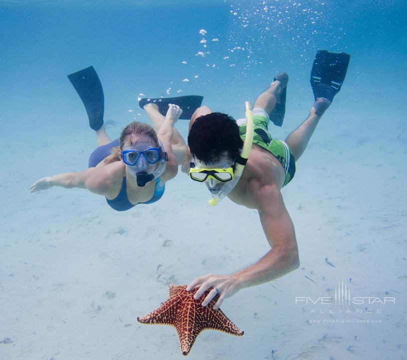 Tiamo Resort Scuba Diving with Starfish.