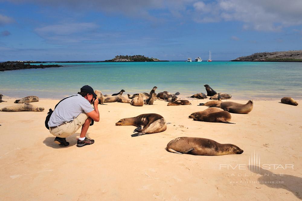 Marine wildlife exploration at Pikaia Lodge Galapagos, Ecuador