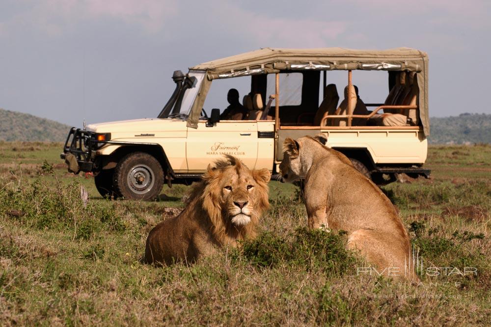 Wildlife at Fairmont Mara Safari Club