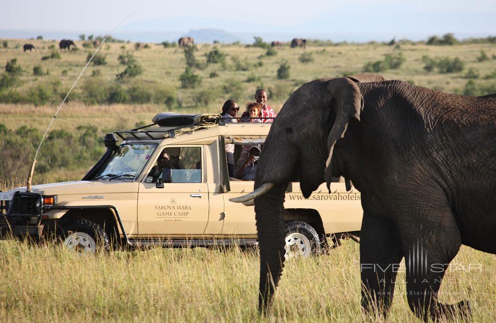 Safari at Sarova Mara Game Camp, Kenya