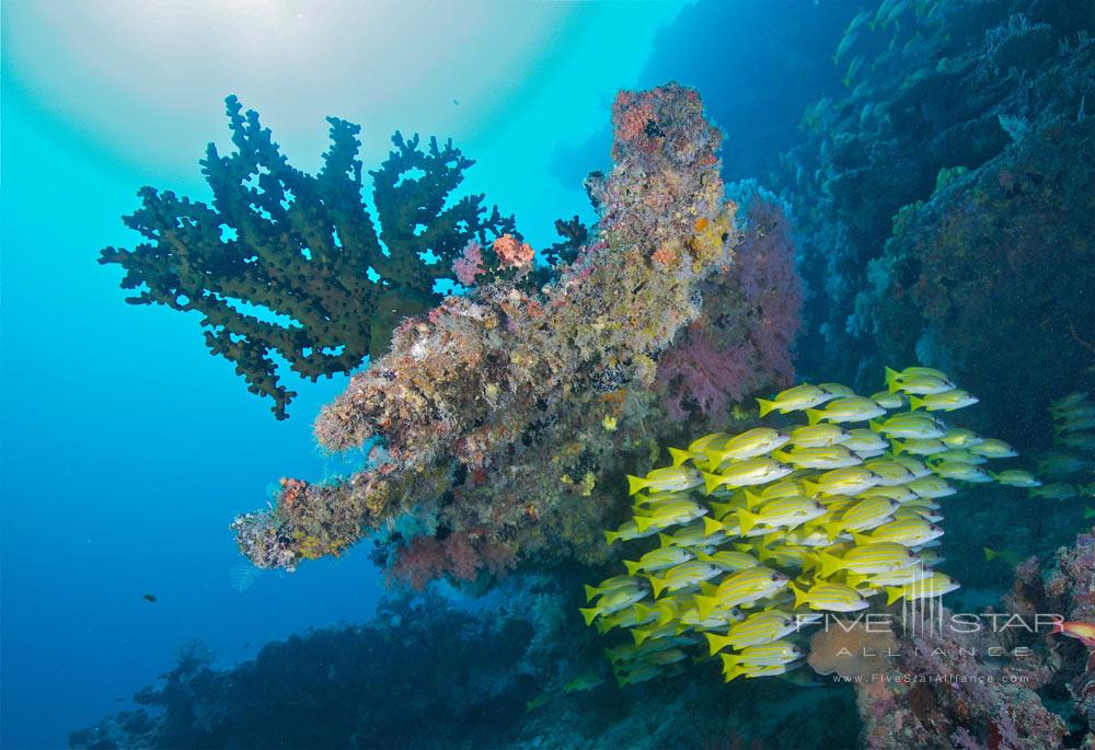 Sun Aqua Vilu Reef, Maldives