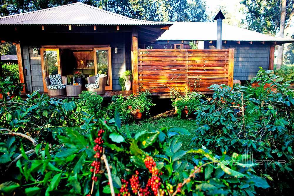 Exterior of Plantation Suite at Arusha Coffee Lodge, Arusha, Tanzania