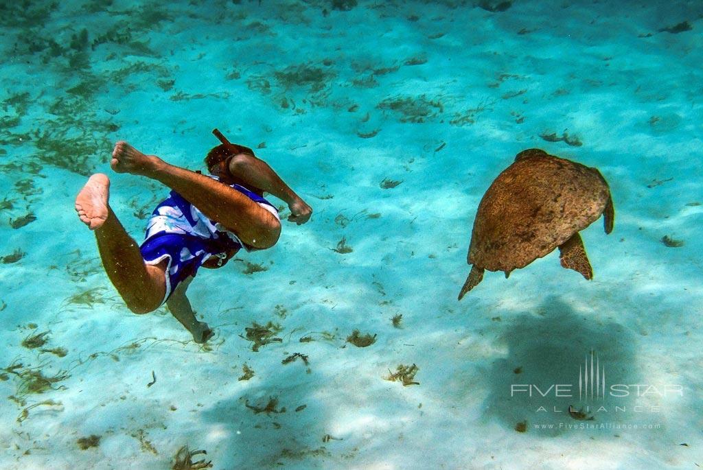Snorkeling Activity at Turtle Inn, Stann Creek District, Belize